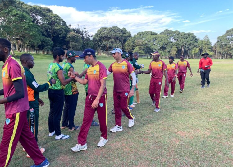 Cricket League | Damani punishes Tigers as Wanderers edge past Tornado